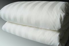 tangtang.de - Seidenbett Kombiangebot 2000 g + 1000 g Maulbeerseidenfüllung Bettdecke 135 x 200 cm